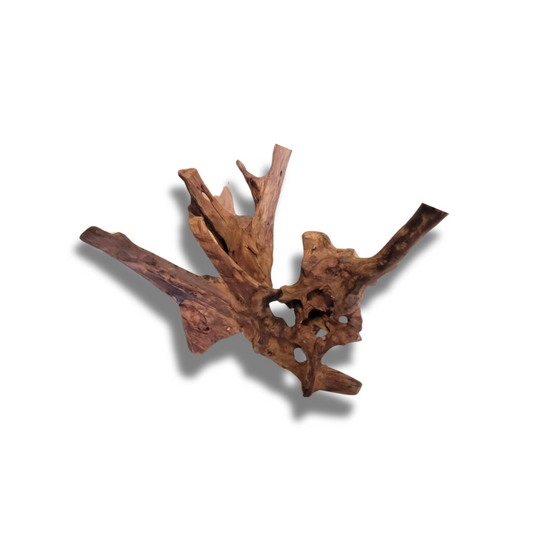 Natural Teak Root Sculpture