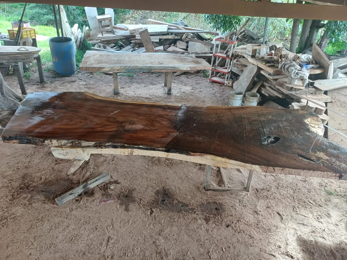 Live edge Saman wood the spruce table