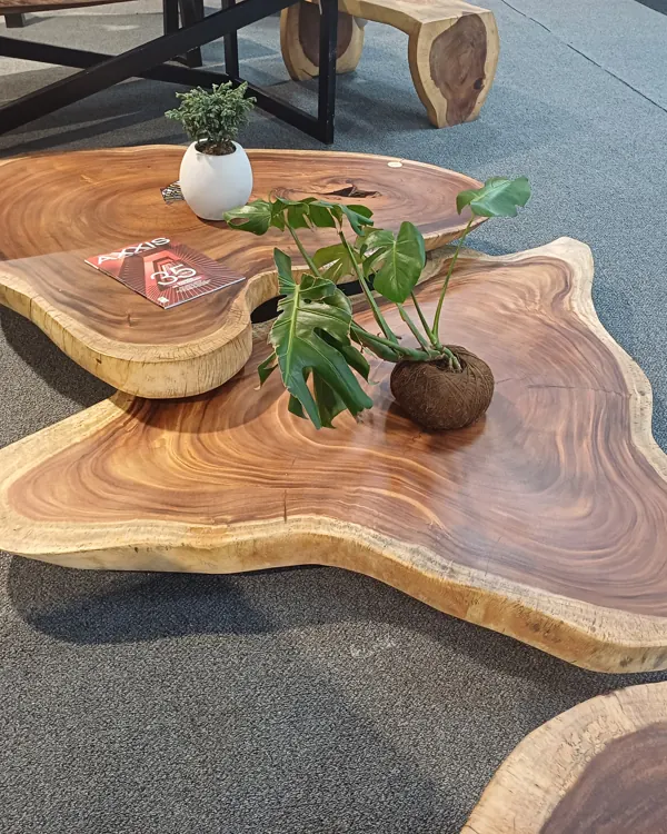 Live edge Saman wood the timber table