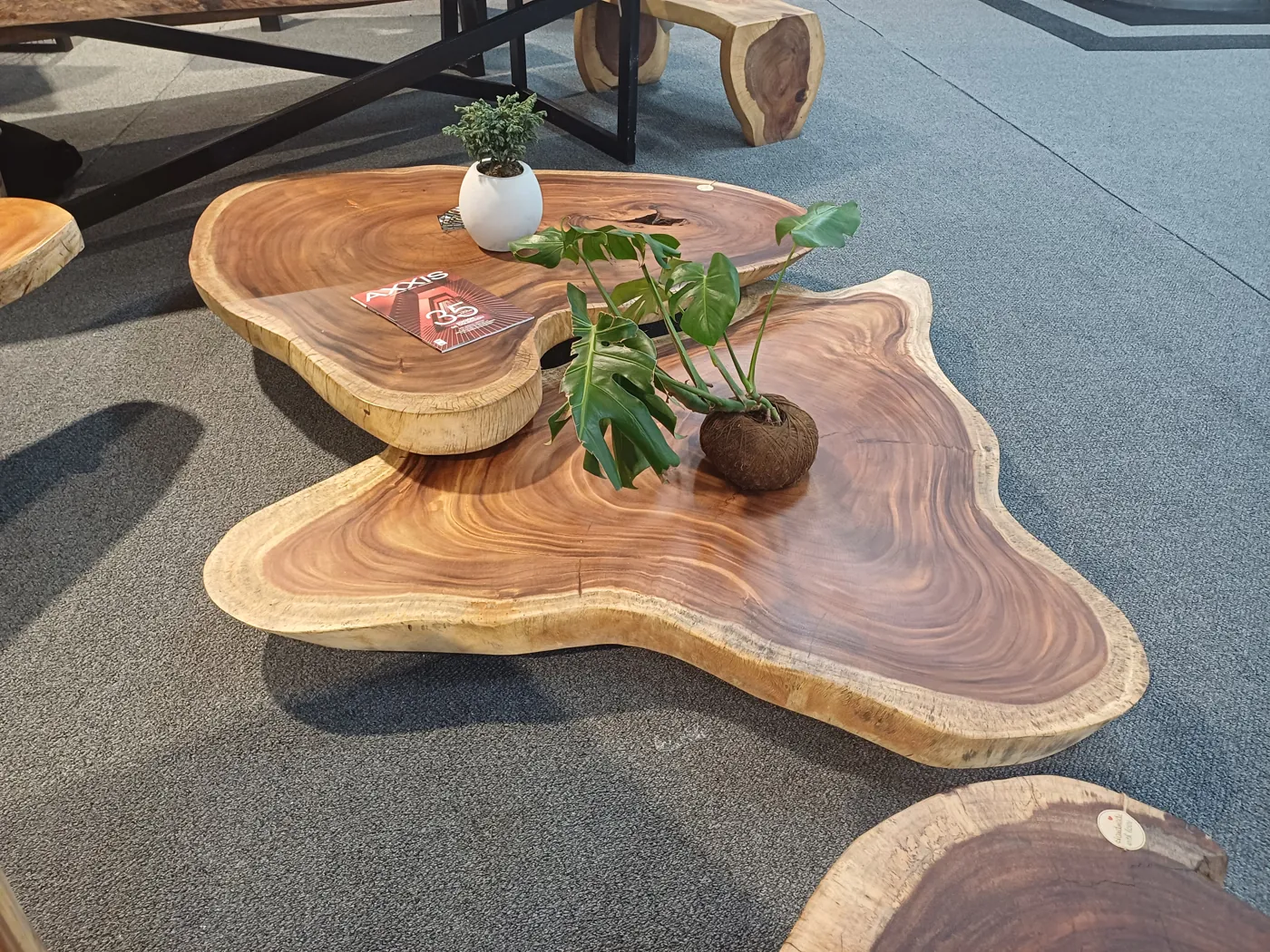 Live edge Saman wood the timber table